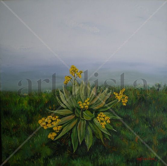 SOBREVIVIENTE: Frailejón en Siecha Oil Canvas Landscaping