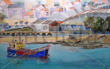 Riazor y Draga