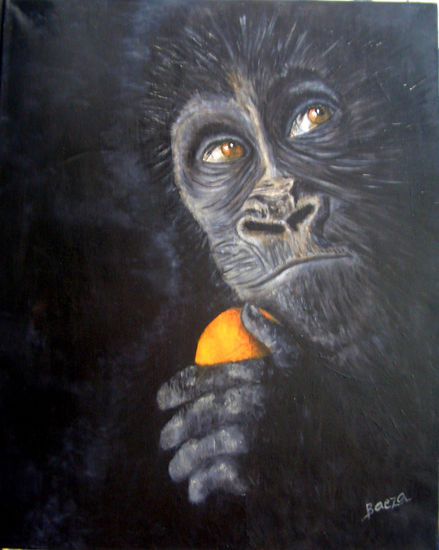 UNA NARANJA Oil Canvas Animals