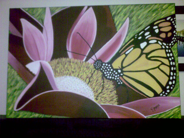 mariposa en la flor