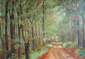En el bosque