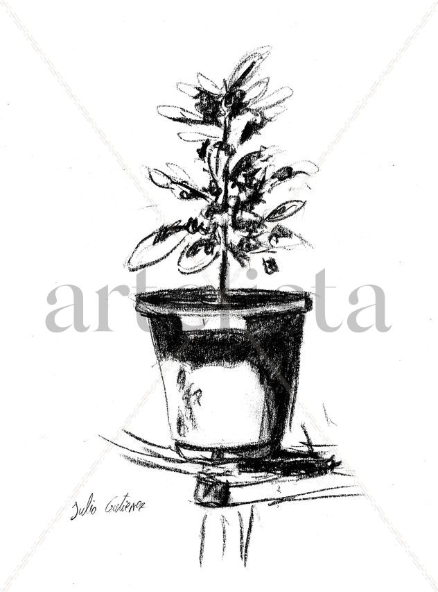 jardín 2
