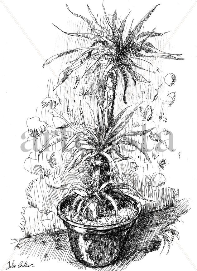 jardín 3