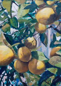 Limones