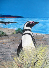 Pinguino de magallanes