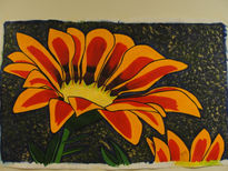 Gazania