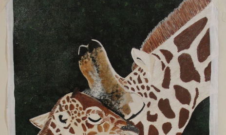 amor en animales