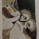 amor en animales thumbnail 2