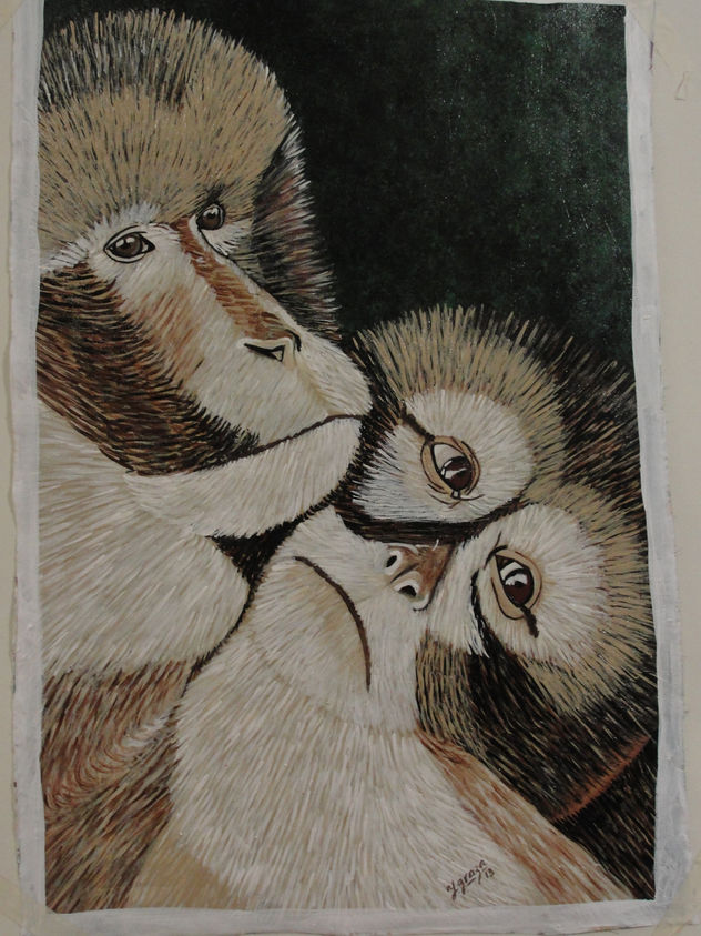 amor maternal en monos