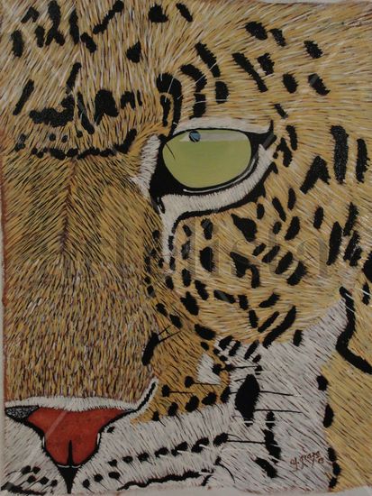 mirada de leopardo Acrylic Canvas Animals