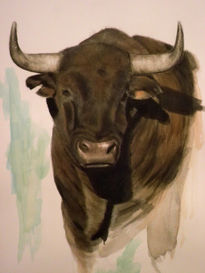 Toro