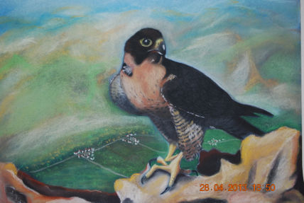 Naturaleza