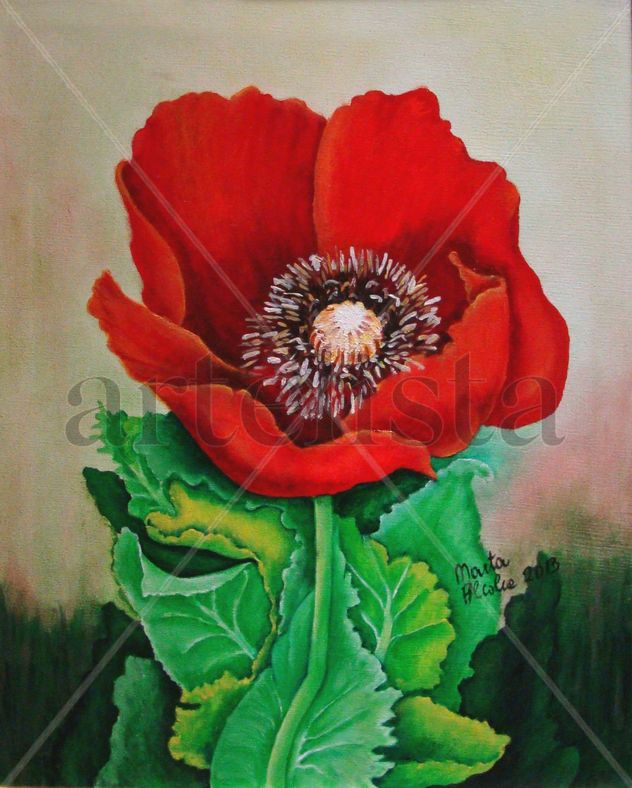 Amapola