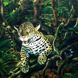 Paisajes Amazonicos thumbnail 1