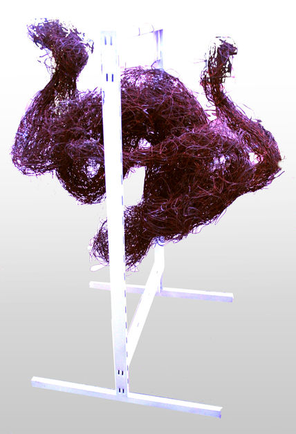 Forma XXXV