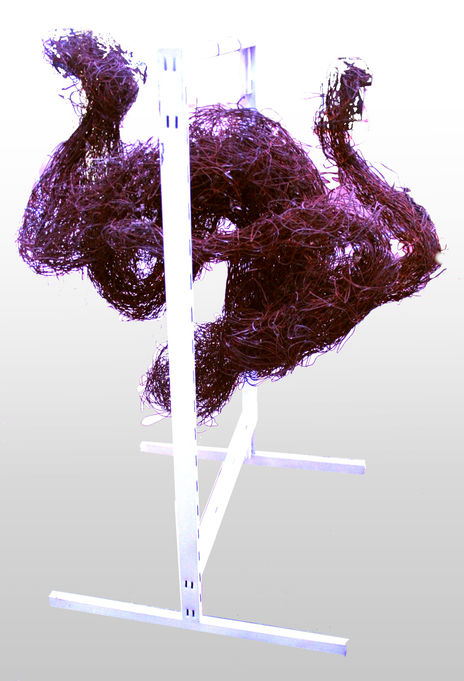 Forma XXXV