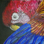 ACRILICOS thumbnail 1