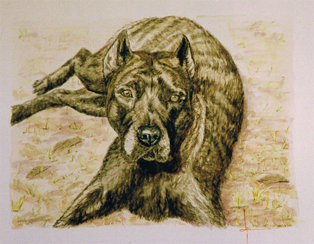 Dogo canario Acuarela Cartulina Animales