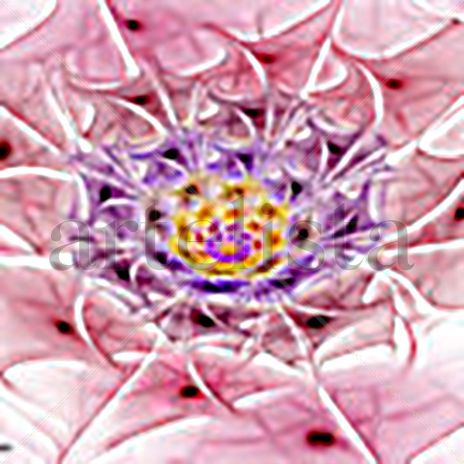 Fractal  ,  flor...