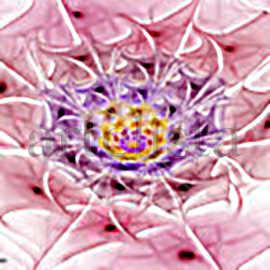 FRACTAL  ,  FLOR   ROSA 