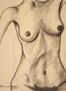 desnudo 4