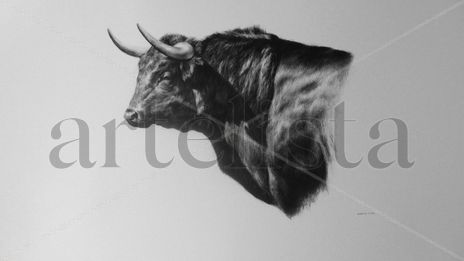 Toro