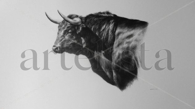 toro