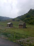 el campo
