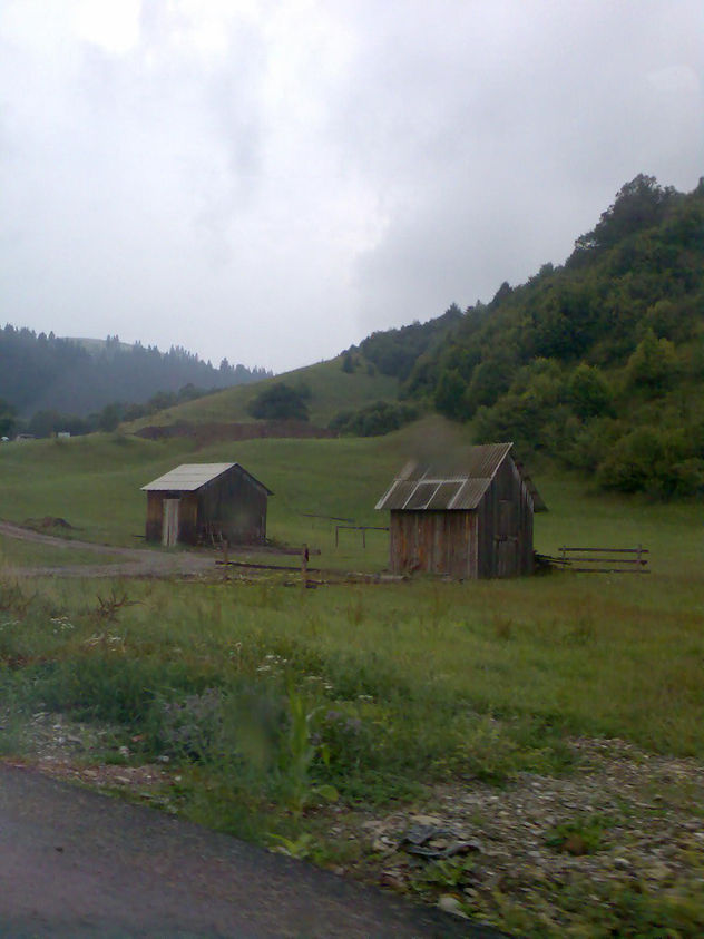 el campo