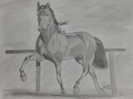 Caballo