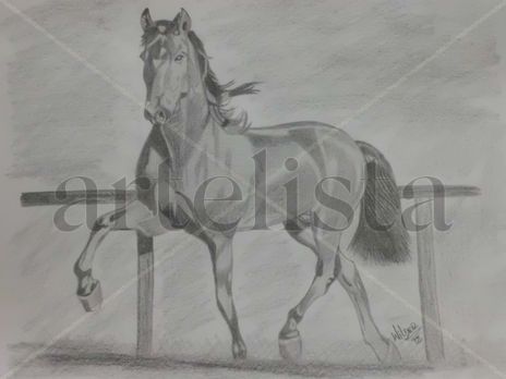 Caballo