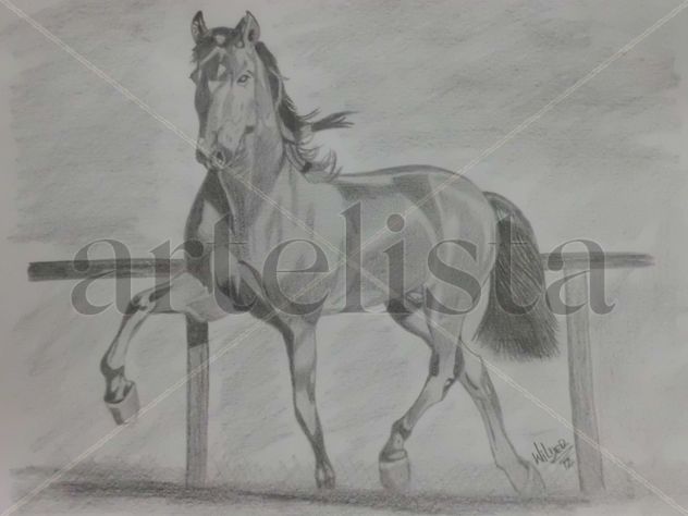 CABALLO