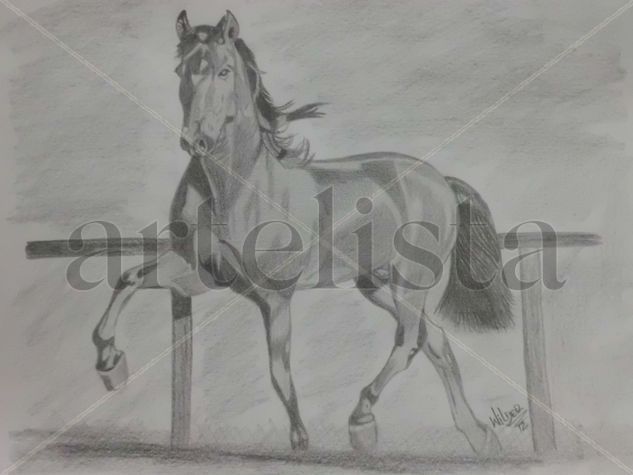 CABALLO Pencil