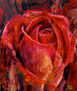 La rosa a flor de piel / The rose on the skin / La rose sur la peau /  La rosa sulla pelle  / Die Rose auf der Haut /