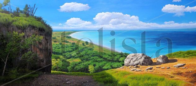 Observando la Bahía (Bahía Las Aguilas)