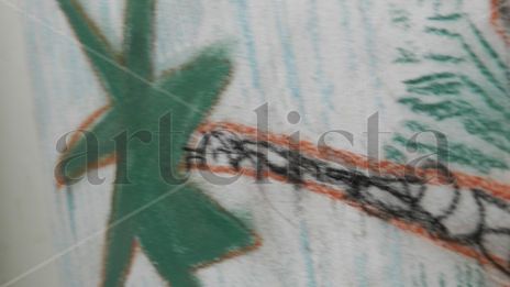 Palmera universal