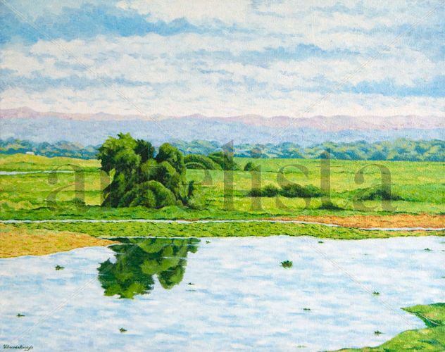 Paisaje Cerca a Tosagua