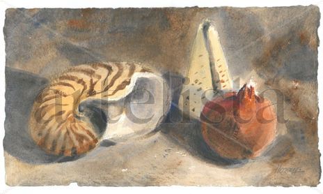 Caracolas y Granada