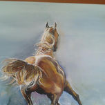 caballos thumbnail 1