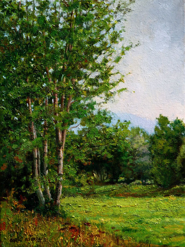 Dia gris en el campo / Gray day in the country