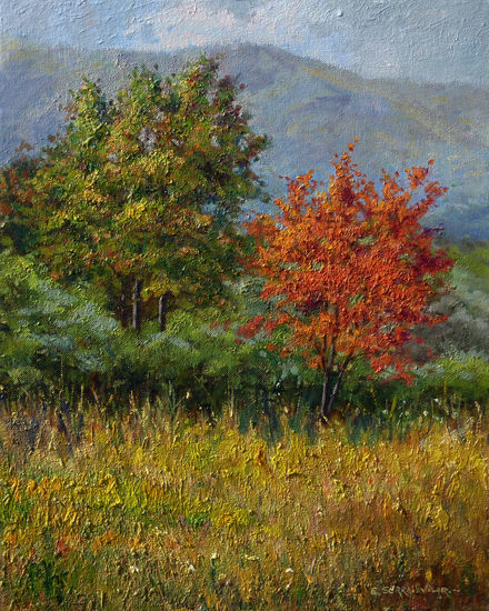 Colores de otoño / Autumn colors. Oil Canvas Landscaping