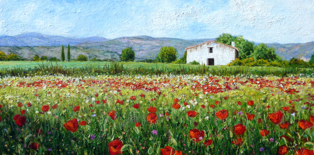 Campo de amapolas / Poppies field. Oil Panel Landscaping