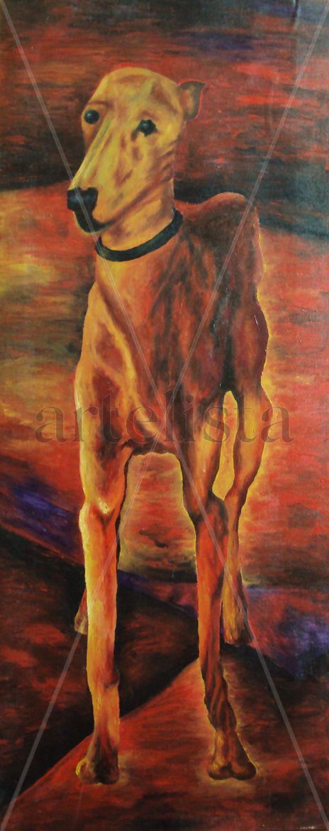 Galgo