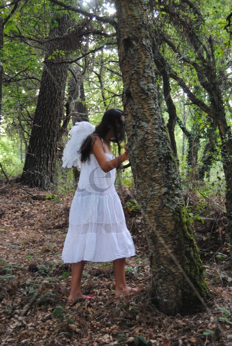 Perdido no bosque