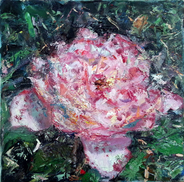 Te regalo una Rosa
