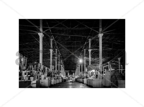 De la Serie: SILENCIO