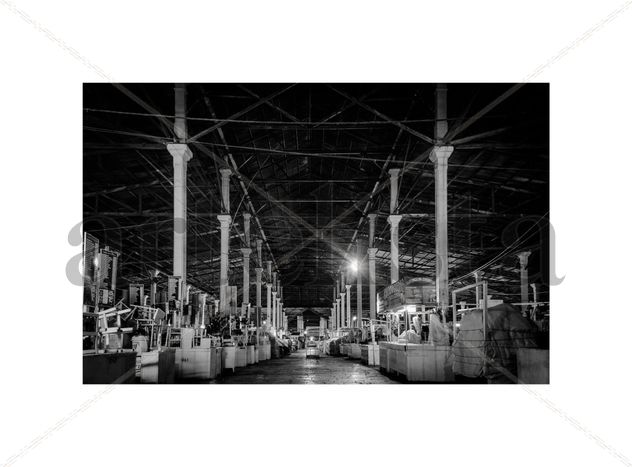 De la Serie: SILENCIO