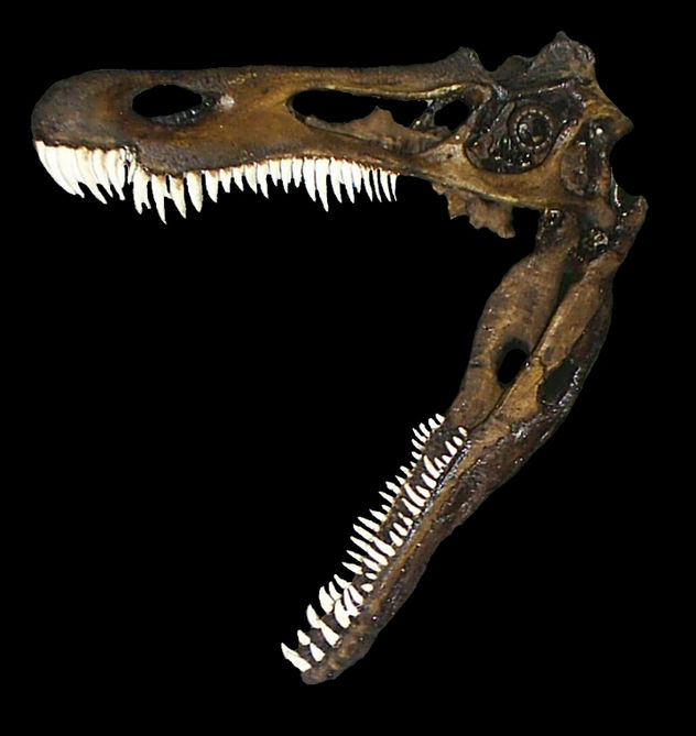 Dinosaurios: Suchomimus