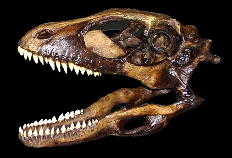 Dinosaurios: El...