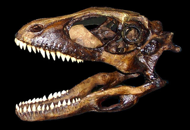 Dinosaurios: El Deinonychus